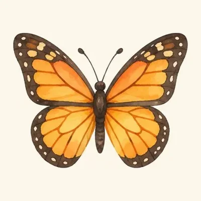 Farfalla