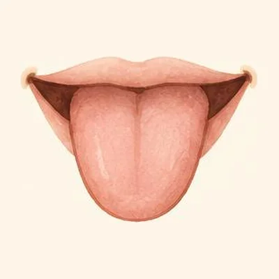 Lingua