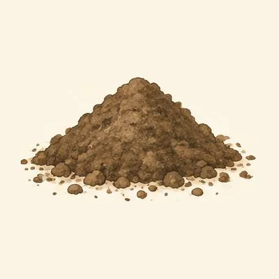 Terra